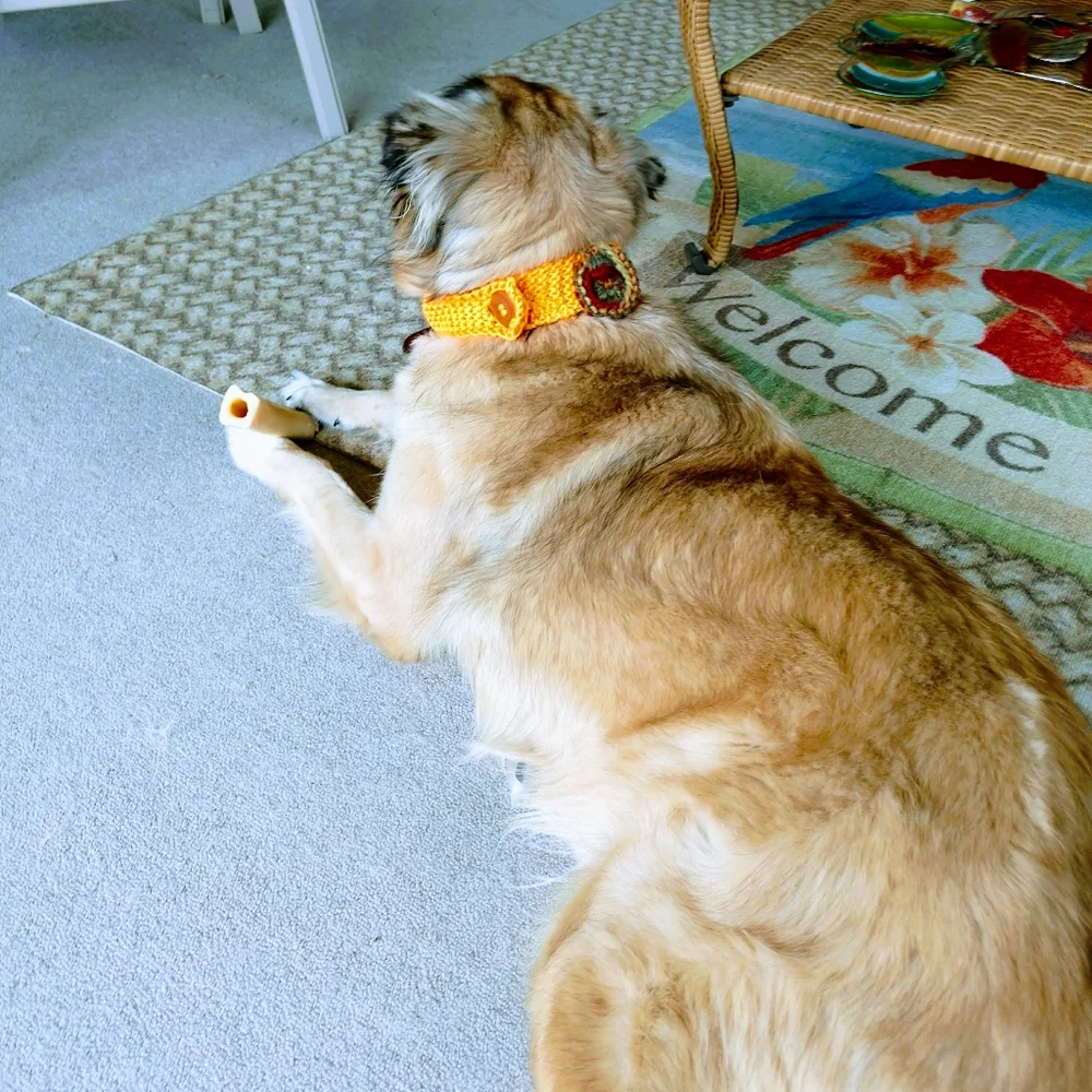 Pet Dog Collar Covers Fall Orange Brown Floral